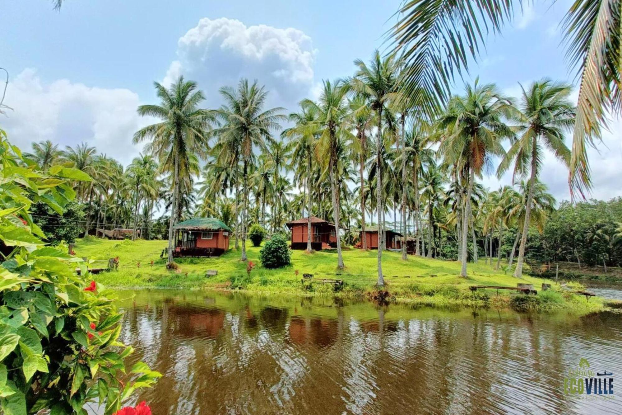 Cavinti Caliraya Ecoville Recreation And Farm Resort מראה חיצוני תמונה